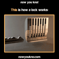 my-darkest-paradise:  nowyoukno:  Now You Know this his how a lock works. (Source)  This is like porn 