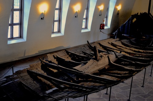 XXX milicarancic:  Viking Ship Museum, Oslo, photo