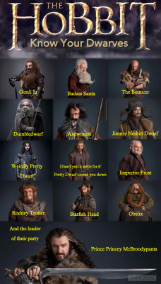 momochanners:  thesassylorax:  samandriel:  erebor-or-bust:  papune:  A Guide To Dwarves In ‘The Hobbit’  Shockingly accurate.  I lost all my shit at Dumbledwarf  Somebody knows who Obelix is thank you.  &ldquo;Dwarf you’d settle for if Pretty Dwarf