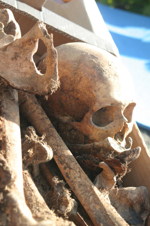 Another set of photos from excavations in Podlasie, Poland. We wear these masks because graves were 