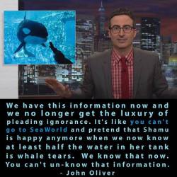 theveganmothership:  Try “un-knowing” that.Watch “Blackfish”  Troooof