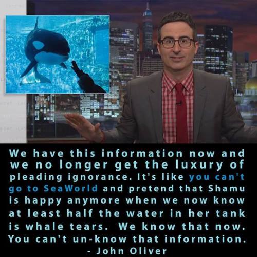 theveganmothership:  Try “un-knowing” that.Watch “Blackfish”  Troooof