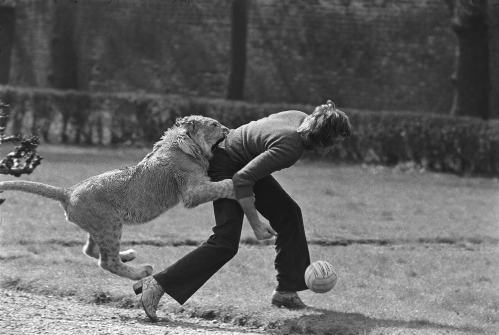 wolverxne:  "A Lion Called Christian" Christian was a lion originally