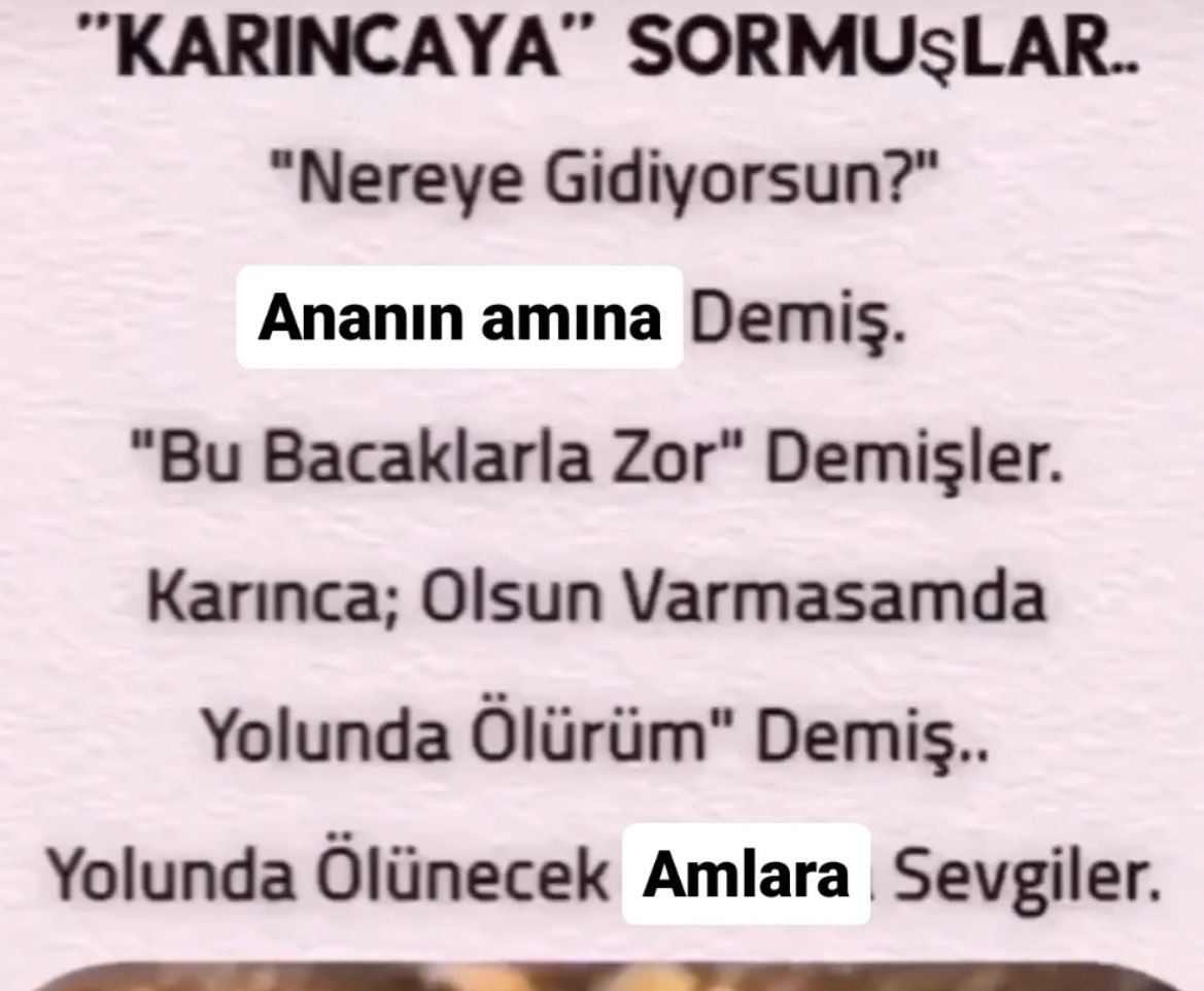 "KARINCAYA" SORMUŞLAR.....