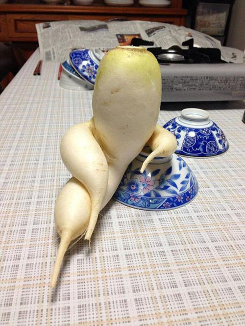 The Way These 24 Vegetables Look Is Out Of This World. You Won’t Believe Your Eyes When You See #23.