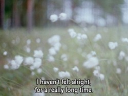Thelovenotebook:  .