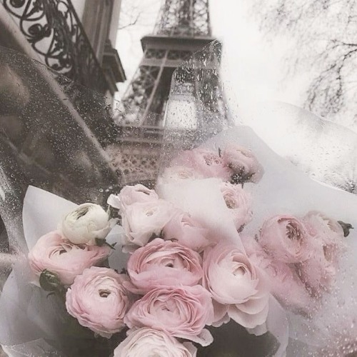 Lost In Paris