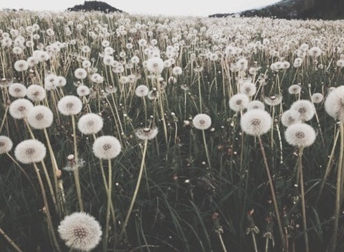 insight-jd:  ▼ FREE ACID ▼ 