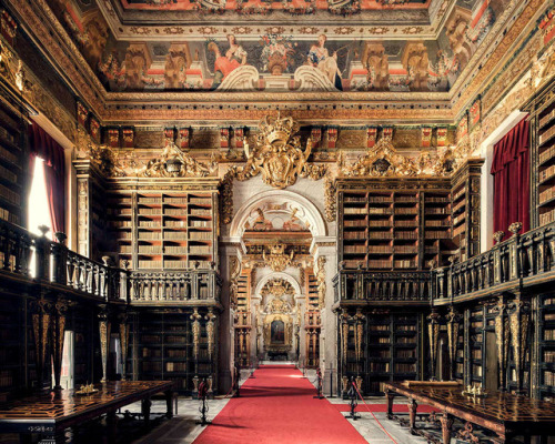nevver: La bibliothèque, Thibaud Poirier