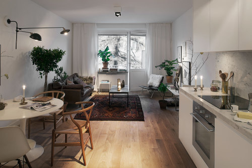 internalisecarlo:  Small space: a Stockholm apartment that uses a smart yet stylish and industrial-inspired separé.