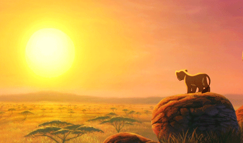 httydtlk:Simba and Kiara.