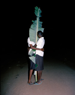 hifas:  Parasomnia: IvyViviane Sassen