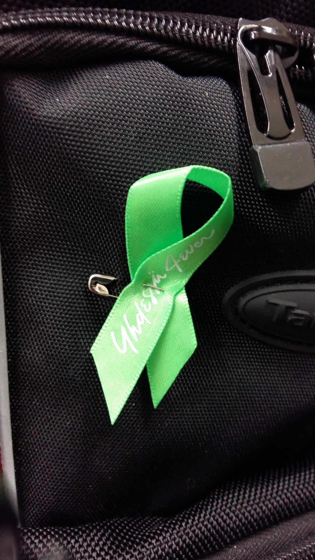 I bought this ribbon today. The profits from it goes to those who are having difficult