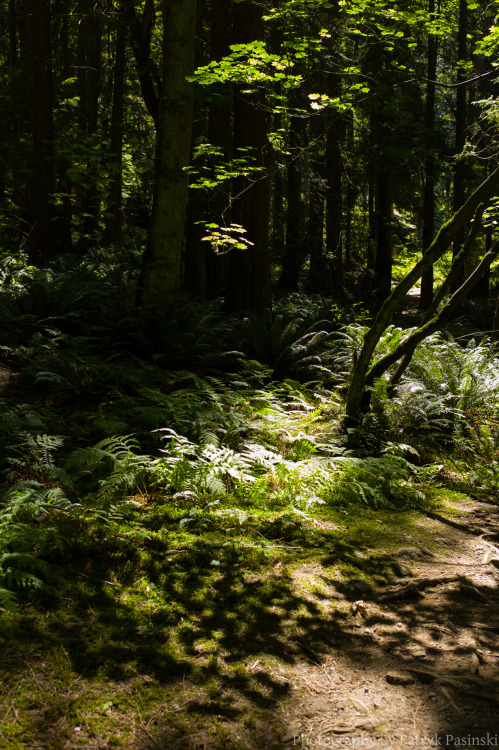 Went hiking with a friend at Belcarra Park. This was at Admiralty Point.Photos takes with 5D Mark II