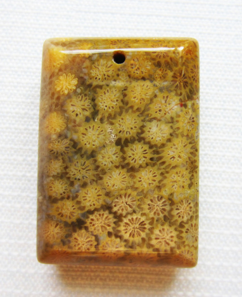 sdlgiftstore:Coral Fossil Pendant 8Q52  37x26x12mm 128.5ct 8Q52 https://www.ebay.com/itm/16331664085