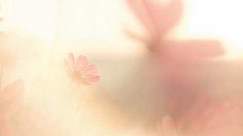Visible Warmth