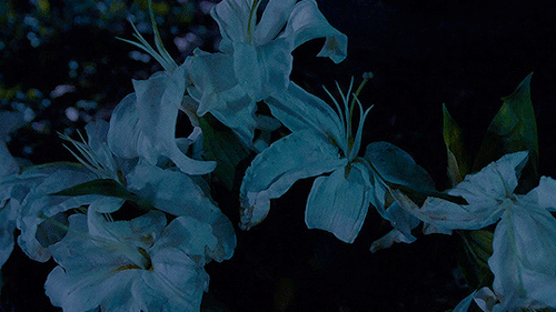snufkiin:“I’m glad I brought your father’s belt, mine would be way too short.”Stoker (2013)dir. Park