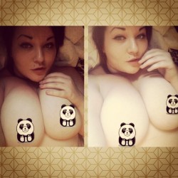 two-magpies:  Morning from me and the Pandas! Xoxo