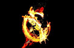 wheresfinnickodairheis13: Catching FIRE 