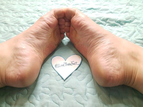 lovethosefeet:@LadyM_Feet on TwitterI’m loving the little heart fan sign. But I am loving