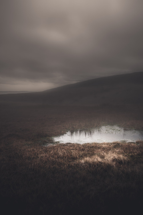 freddie-photography: Saturated Winter - The Brecon Beacons National ParkPhotographed by Frederick Ar