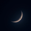 moonmothsposts