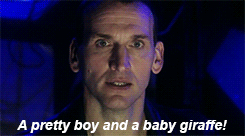 captainwhineythepooh:  scheherazadesstoryteller:  oimatchstickman: The [NewWho] Three
