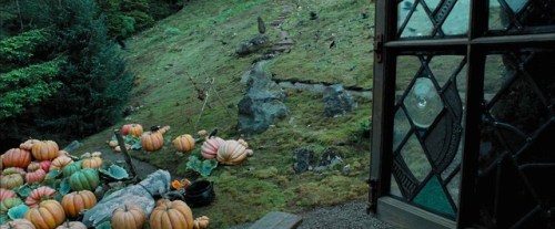 A hippogriff nestles in a pumpkin patch, seen through the window of the Groundskeeper’s Hut at Hogwa