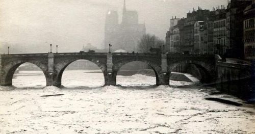 punlovsin:Seine.