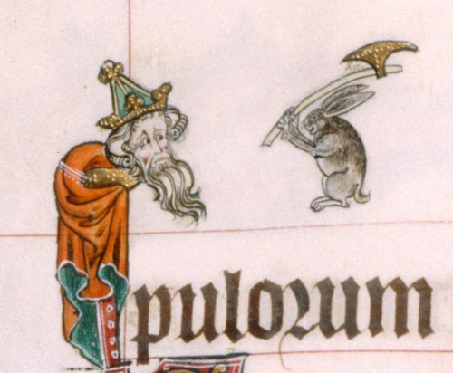 latinlacuna: discardingimages: axe rabbit Gorleston Psalter, England 14th century. British Libr