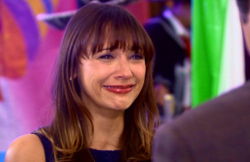 ann perkins