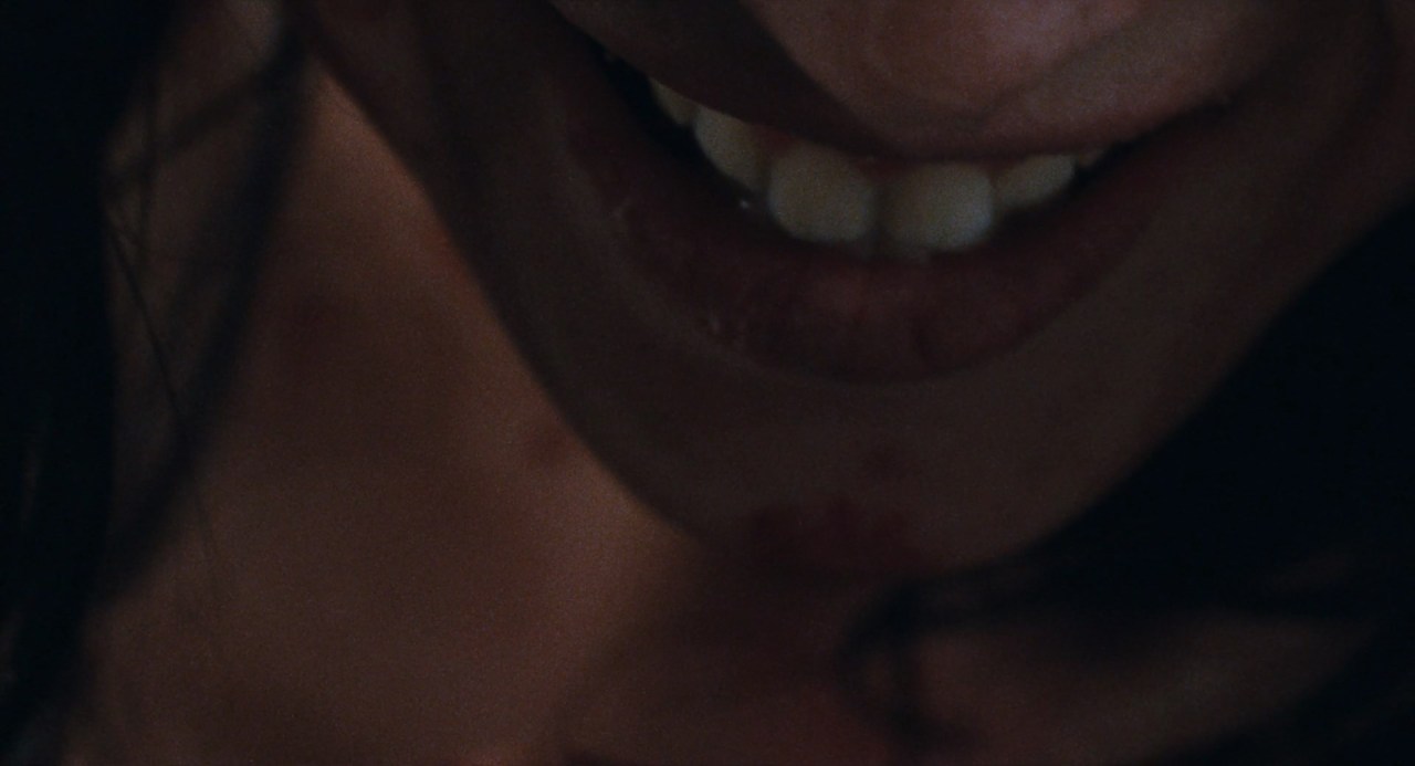 cleofisrandolph:Martyrs (2008) dir. Pascal Laugier, cinematography by Stéphane