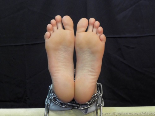 Porn photo Foot Torture & Punishment