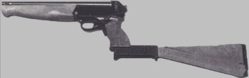 The Russian Cosmonaut Gun,Starting in 1986 Russian Cosmonauts began to carry a special gun into spac