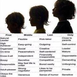 psych2go:  psych2go:  This was recently shared on our Psych2Go Facebook Group by one of our fabulous admins. What do you guys think of it? Are these traits accurate? How much does birth order have an effect on people’s personalities? For those who