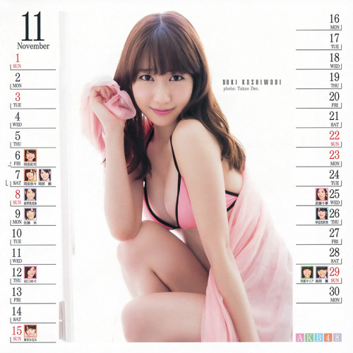 AKB48ミニカレンダー2015 (Part.2) 週刊ヤングジャンプ 2014 No.51