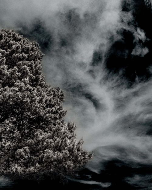 Somewhere #tree #sky #clouds #cloudporn #splittpne #contemporaryart #photography https://www.instagr