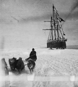 mortisia:  Amundsen, the first man to the South Pole.