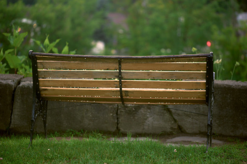 Summer rain, evening light.  A bench on Stonecutter’s Way overlooking the Winooski River in Montpell