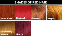 hopeless-alchemist:  smaugnussen:  goddessofsax:  Hair color reference chart. It’s not perfect, but from what I could gather it’s pretty accurate.  dont let the fanfic writers see this  Too late 