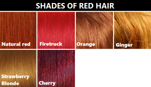 supreme-leader-stoat:uncle-beanbag:the-lady-of-reichenbach:smaugnussen:goddessofsax:Hair color refer