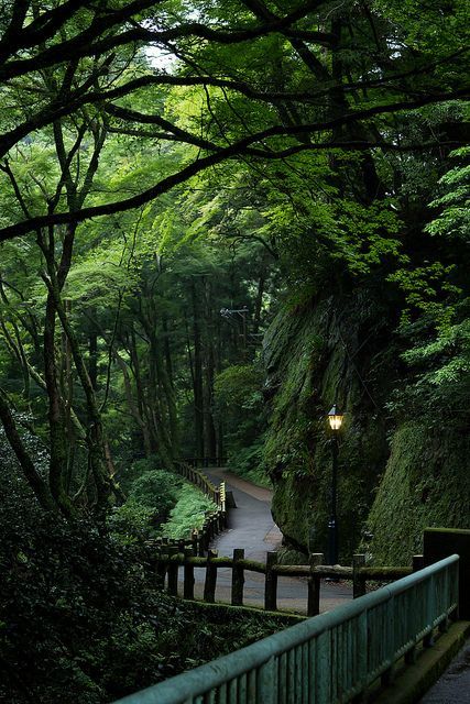 cottagesongs:from the train station and down the spiralling steps to the forest