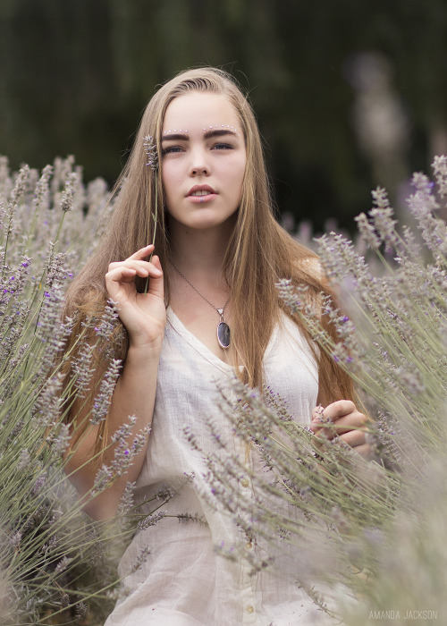 redlipsandrosepetals:  Shots from today at Sauvie’s Island Lavender Farm! amanda-jackson.net