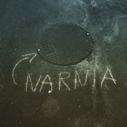p-i-r-a-d-o:  Pra Narnia?! Só se for agoraaa!! #narnia #psychedelic #vibe