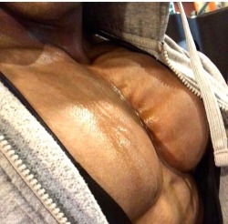 musclementoworship:  superzachmus:Time for a pec show! Amen, now THATS what I’m taking about. Let me bury my face right there.