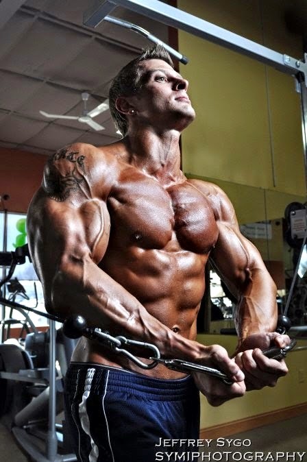   Anavar or Oxandrolone is one of the most popular cutting cycle drugs in the bodybuilding world. It’s generally used to lose weight and body fat quickly and safely. Categorized as a Schedule III (non-narcotic) managed material under the Anabolic Steroids