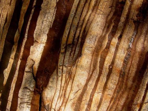 Australian Iron FormationThis image shows a rock type known as a Banded Iron Formation (BIF). Hopefu