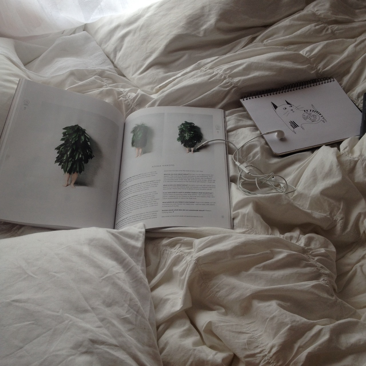 mild-bloom: Real life pics of sophias bedroom outstanding wow kool !!!!!!! 