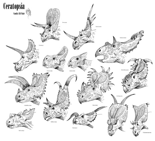 paleoillustration:Ceratopsians by Camila Alli Chair