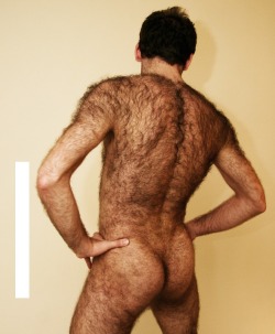 Hairy gay men